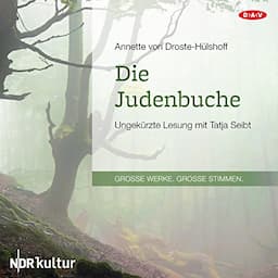 Die Judenbuche