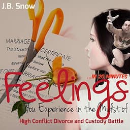 Feelings You Experience in the Midst of High Conflict Divorce and Custody Battle - in 20 Minutes