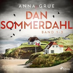 Dan Sommerdahl 1-3