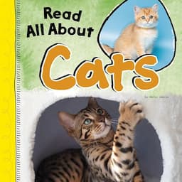 Read All About Cats