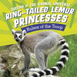 Ring-Tailed Lemur Princesses (Rulers of the Troop)