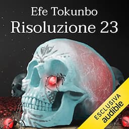 Risoluzione 23