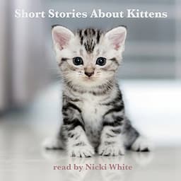 Short Stories About Kittens