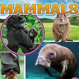 Mammals