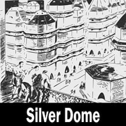 Silver Dome