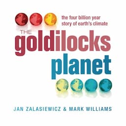 The Goldilocks Planet