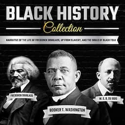 Black History Collection