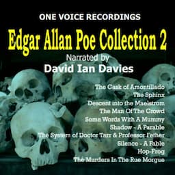 The Edgar Allan Poe Collection II