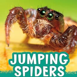 Jumping Spiders