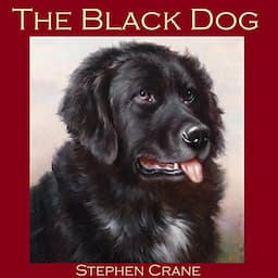 The Black Dog