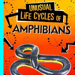 Unusual Life Cycles of Amphibians