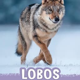 Lobos [Wolves]