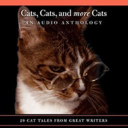 Cats, Cats, and More Cats