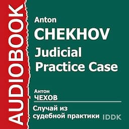 Judicial Practice Case [Russian Edition]