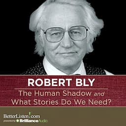 The Human Shadow and What Stories Do We Need?