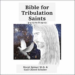 Bible for Tribulation Saints: 4-4-12 to 8-29-12