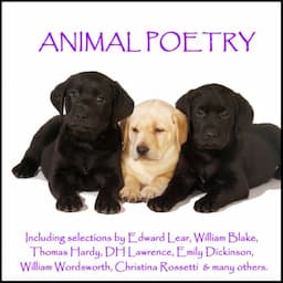 Animal Poetry