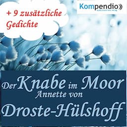 Der Knabe im Moor