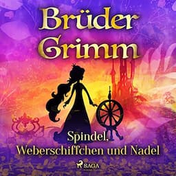 Spindel, Weberschiffchen und Nadel