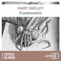 Frankenstein ou le Prom&eacute;th&eacute;e moderne