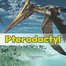 Pterodactyl