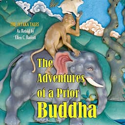 The Adventures of a Prior Buddha