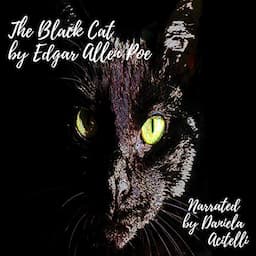 The Black Cat