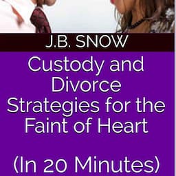 Custody and Divorce Strategies for the Faint of Heart (In 20 Minutes)