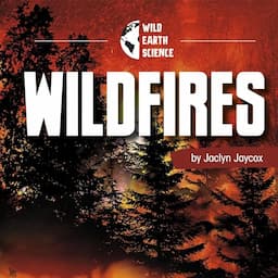 Wildfires