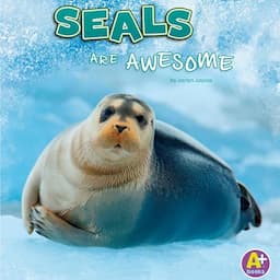 Seals Are Awesome