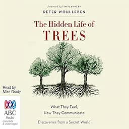 The Hidden Life of Trees