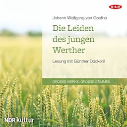 Die Leiden des jungen Werther