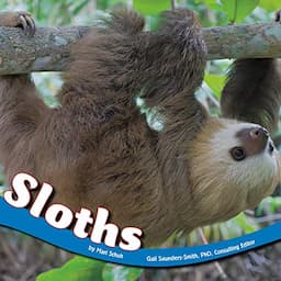 Sloths