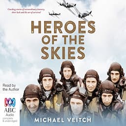 Heroes of the Skies