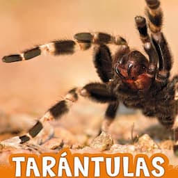 Tar&aacute;ntulas [Tarantulas]