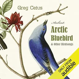 Arctic Bluebird and Other Birdsongs