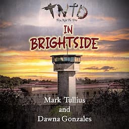 In Brightside: An Interactive Adventure