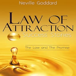 Law of Attraction Success Stories