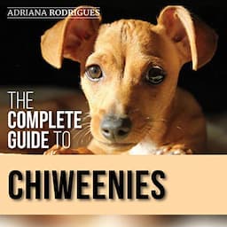 The Complete Guide to Chiweenies