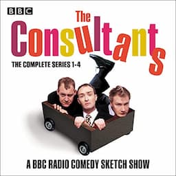 The Consultants: The Complete Series 1-4