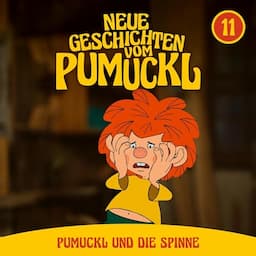 Pumuckl und die Spinne