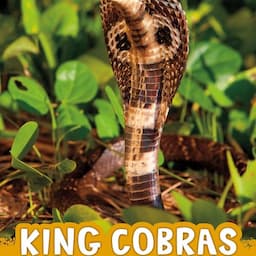 King Cobras