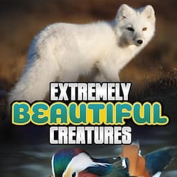 Extremely Beautiful Creatures