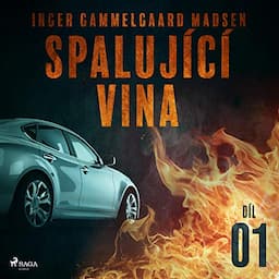 Spaluj&iacute;c&iacute; vina 1