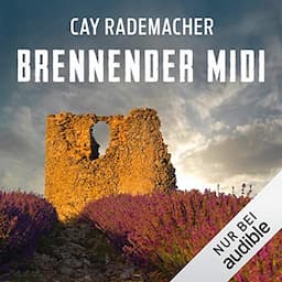 Brennender Midi. Ein Provence-Krimi