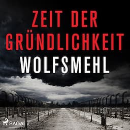 Zeit der Gr&uuml;ndlichkeit