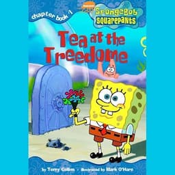 Spongebob Squarepants Chapter Book 1