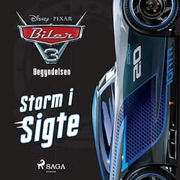 Begyndelsen - Storm i sigte