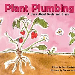 Plant Plumbing