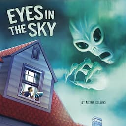 Eyes in the Sky